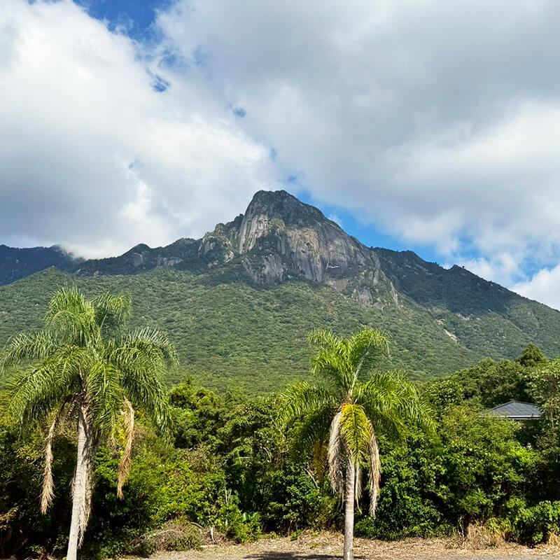 屋久島モッチョム岳
